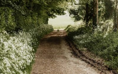 A note from your clerk – damaged footbridge on footpath 1 – Attleton Green