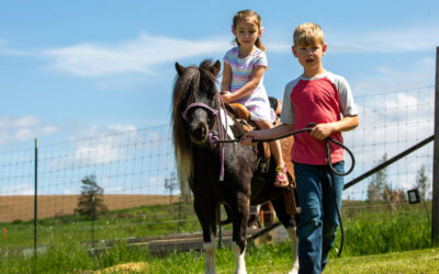 A note from your Clerk – ponies being ridden on footpaths across the parish