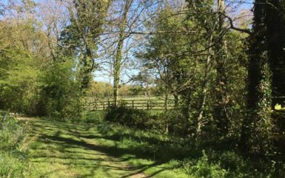 Walk to the CHERRY TREE and onwards