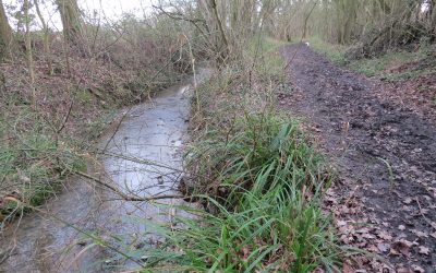 Walk from Chevington to Wickhambrook