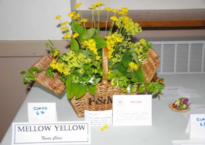 Flower Show - Floral Displays Section