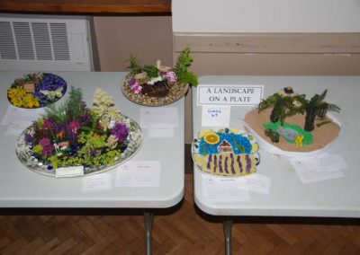 Flower Show - Childrens Section