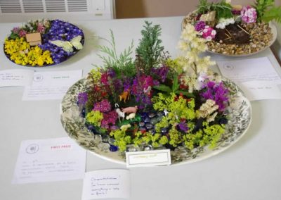 Flower Show - Childrens Section