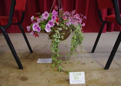 Flower Show - Plants section