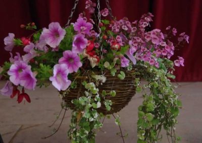 Flower Show - Plants section