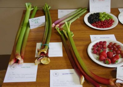 Flower Show - Fruit section