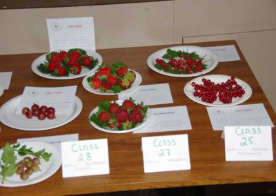 Flower Show - Fruit section