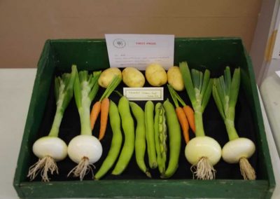 Flower Show - Vegetable section