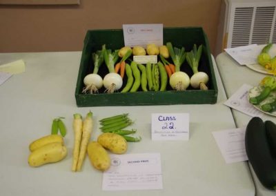 Flower Show - Vegetable section