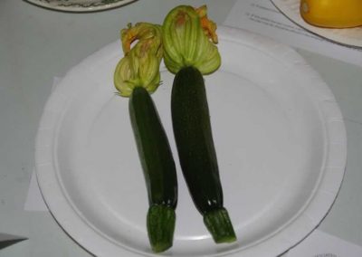 Flower Show - Vegetable section