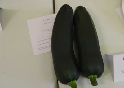 Flower Show - Vegetable section