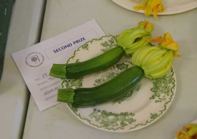 Flower Show - Vegetable section