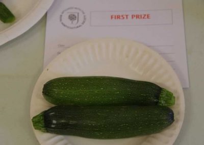 Flower Show - Vegetable section