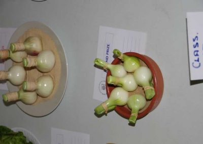 Flower Show - Vegetable section