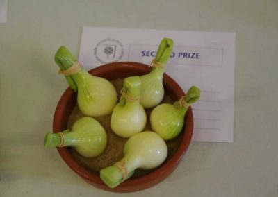 Flower Show - Vegetable section