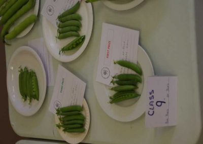 Flower Show - Vegetable section