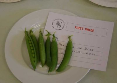 Flower Show - Vegetable section