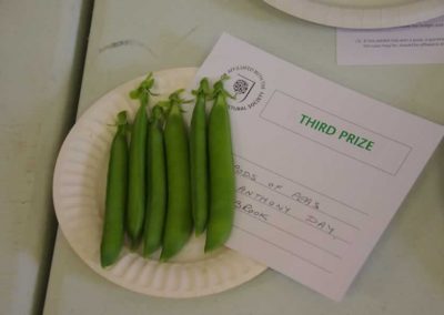 Flower Show - Vegetable section