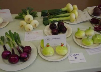 Flower Show - Vegetable section