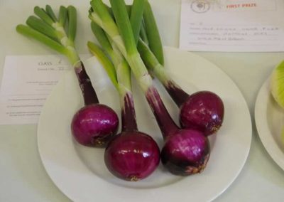 Flower Show - Vegetable section