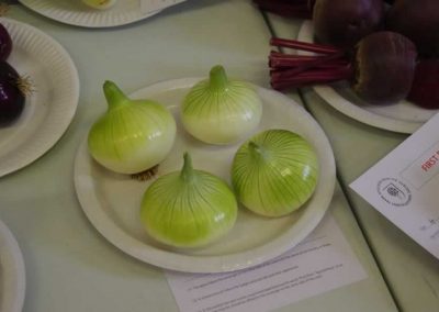 Flower Show - Vegetable section