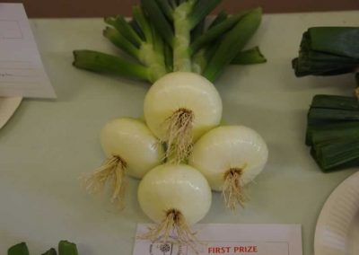 Flower Show - Vegetable section