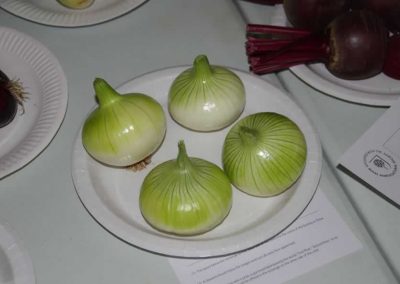 Flower Show - Vegetable section