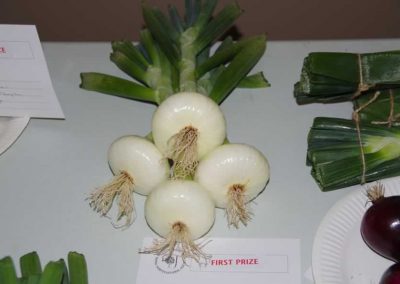 Flower Show - Vegetable section