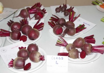 Flower Show - Vegetable section