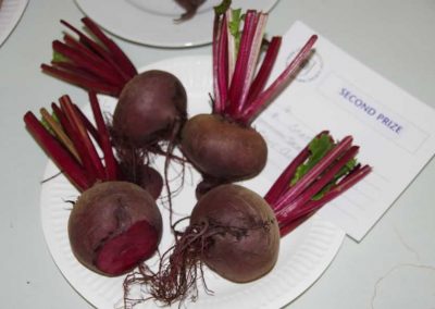 Flower Show - Vegetable section