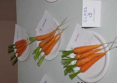 Flower Show - Vegetable section