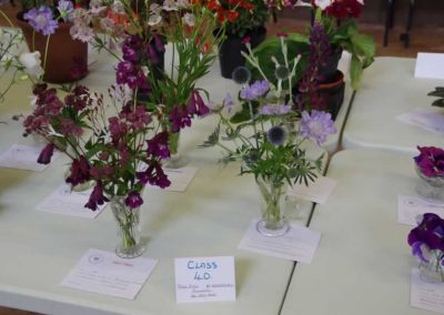 Flower Show - Flowers section