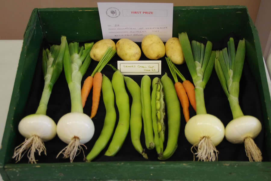 Wickhambrook Flower Show