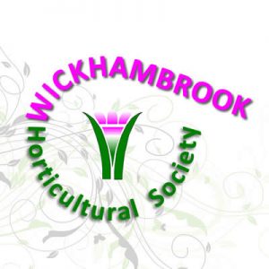 Willow Weaving for the Garden @ Wickhambrook W.I. Hall