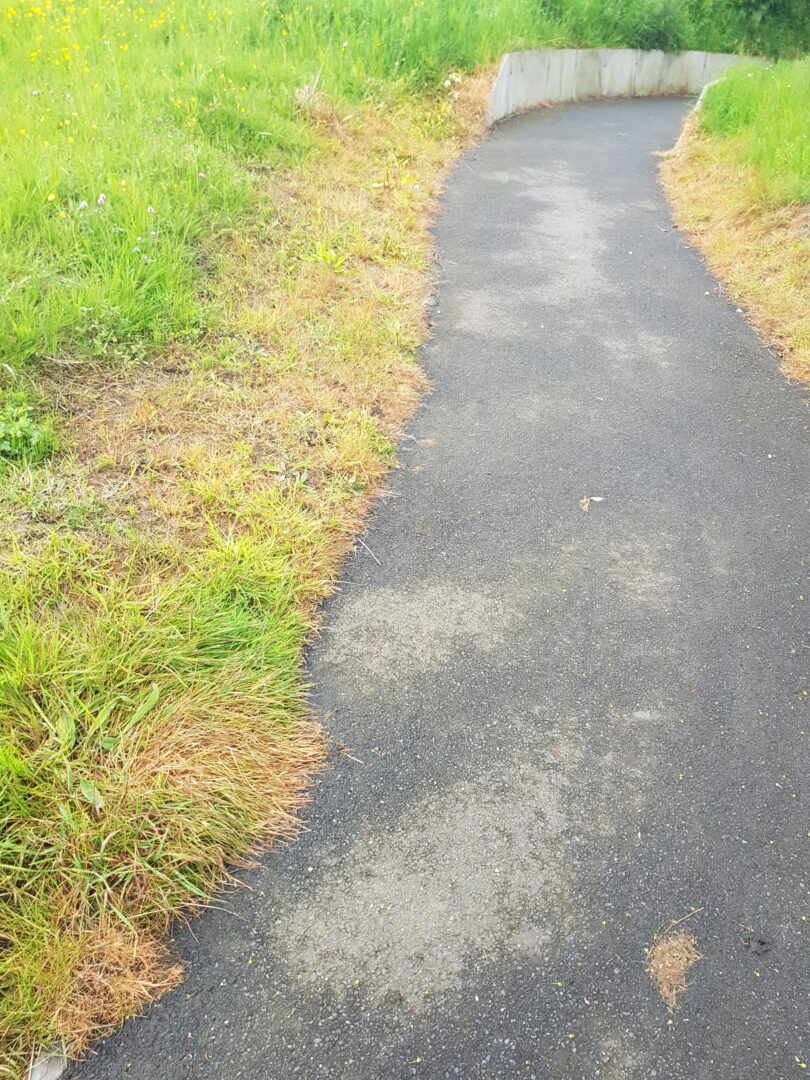 Damage to meadow caused by weedkiller