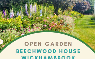 Open Garden – Beechwood House