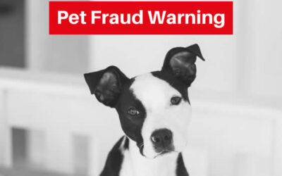 Pet Fraud Warning