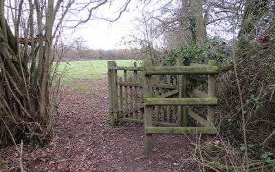 Walk around Wickhambrook