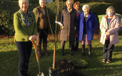 Wickhambrook WI Tree Planting for Queen’s Jubilee 2022!