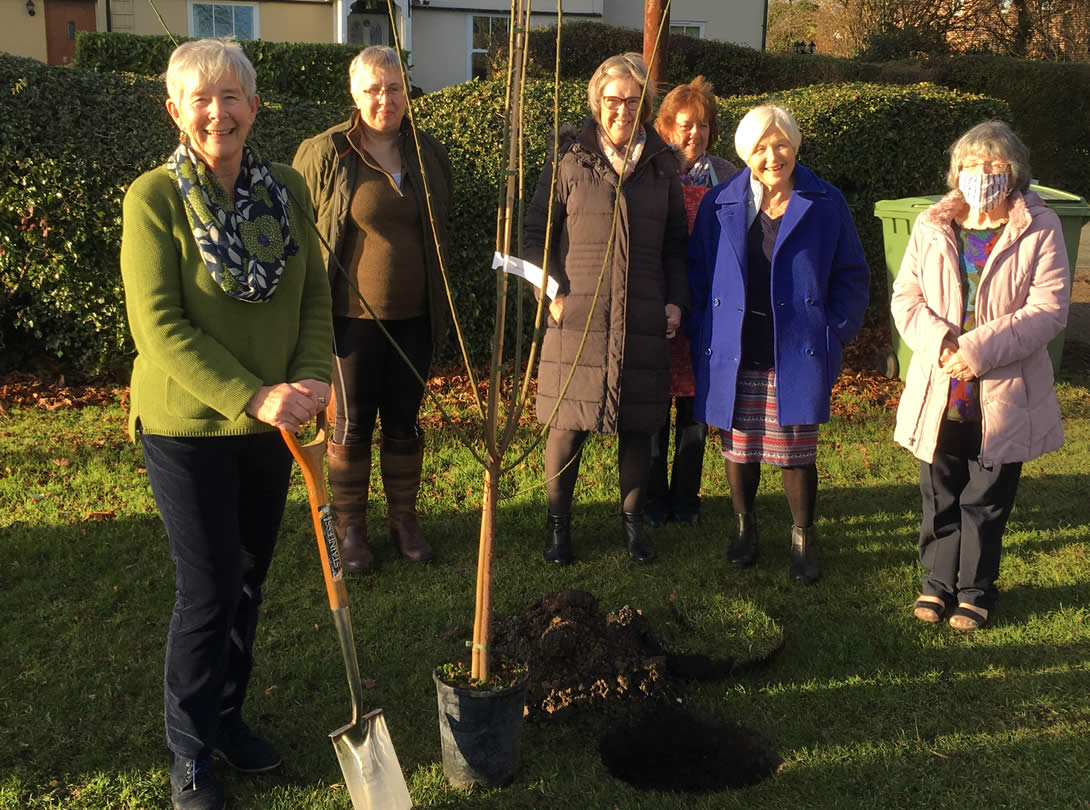 Wickhambrook WI Tree Planting for Queens Jubilee 2022