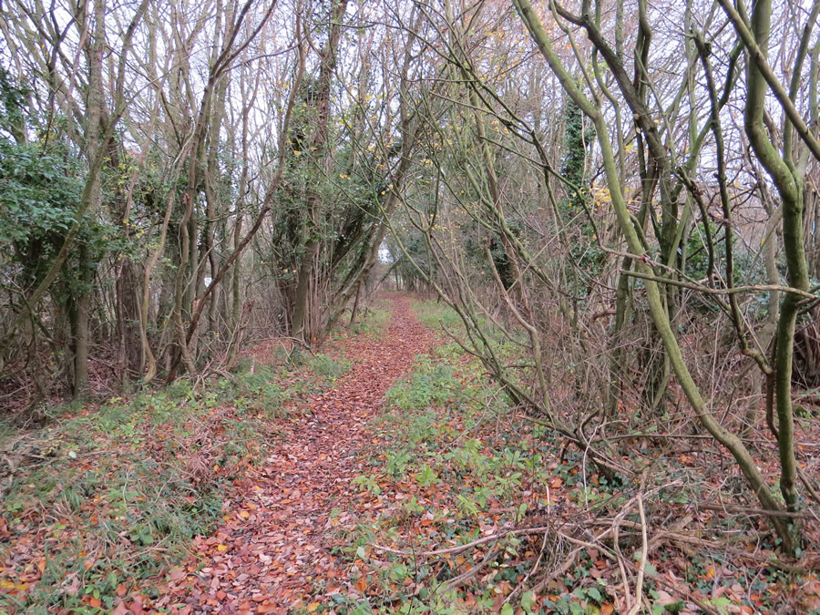 Wickhambrook Walk 2 - footpath