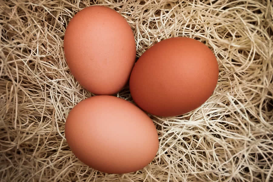 Keeping Chickens on a small scale - eggs