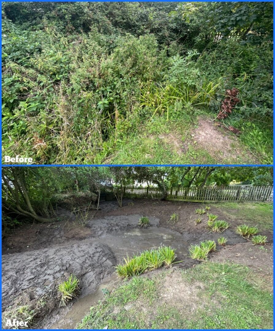 pond at Coltsfoot Green before and after