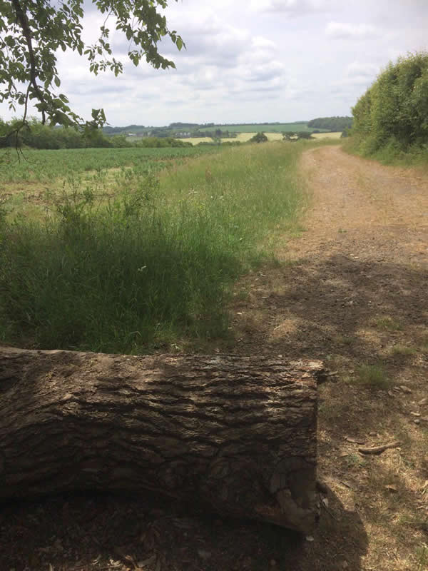 view from cresting the hill after passing Wickham House Bungalows