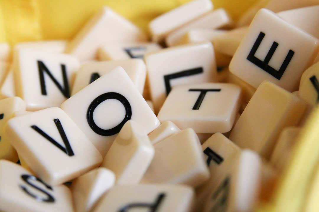 image with the word vote